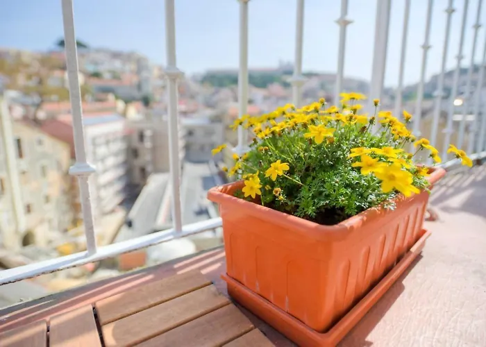 Lisbon Martim Moniz Apartment